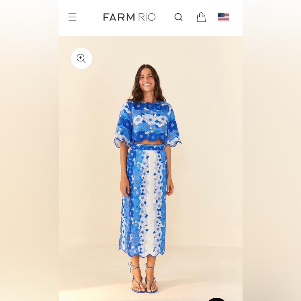 Farm Rio Blue Flower Stripes Midi Skirt & Top - size small (both)